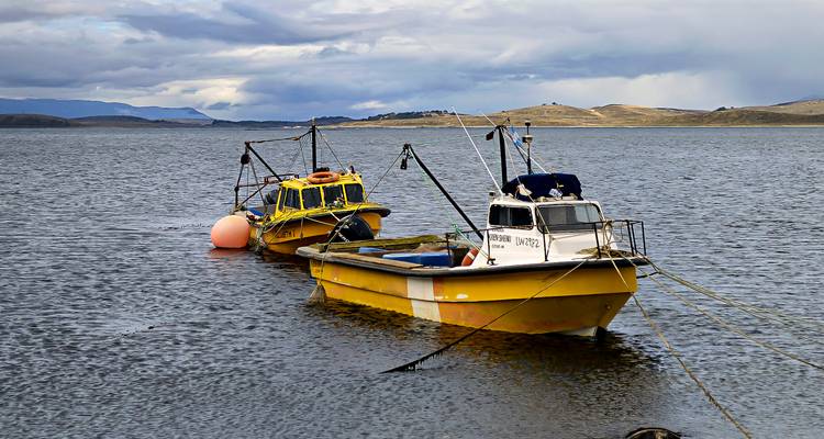 Deux bateaux de pêche jaune vif amarrés sur une mer grise calme avec des collines ondulantes au loin.