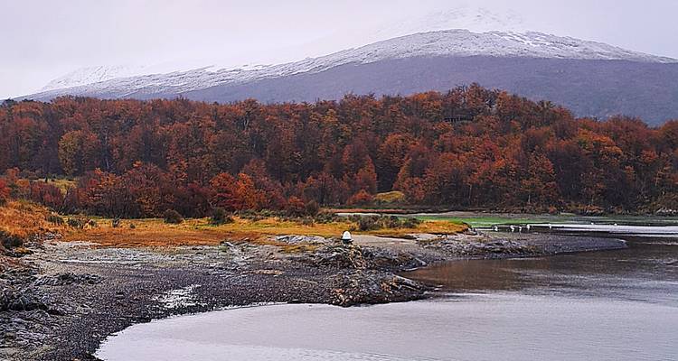 Follaje de otoño en tonos rojos y naranjas a lo largo de una tranquila ensenada con montañas nevadas de fondo bajo cielos grises.