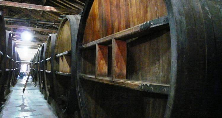 Rangée de cuves à vin géantes en bois à l'intérieur d'un entrepôt de cave rustique.