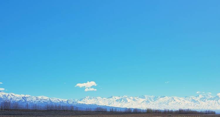 Un inmenso cielo azul domina sobre la cadena de los Andes con cimas nevadas a lo lejos y viñedos áridos.