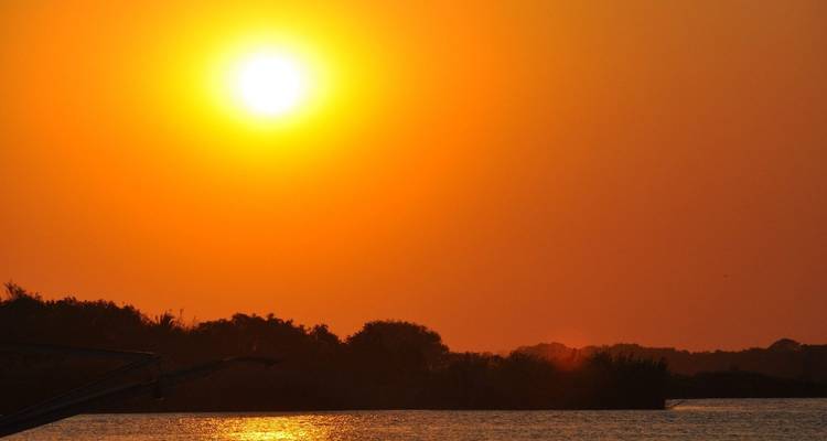 Coucher de soleil sur une rivière avec la silhouette des arbres.