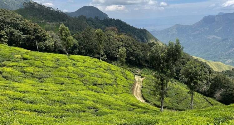 Un paisaje de colinas verdes con un cielo despejado.