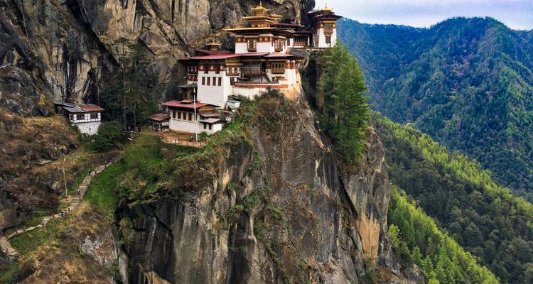 A monastery perched on a cliff surrounded by forest.