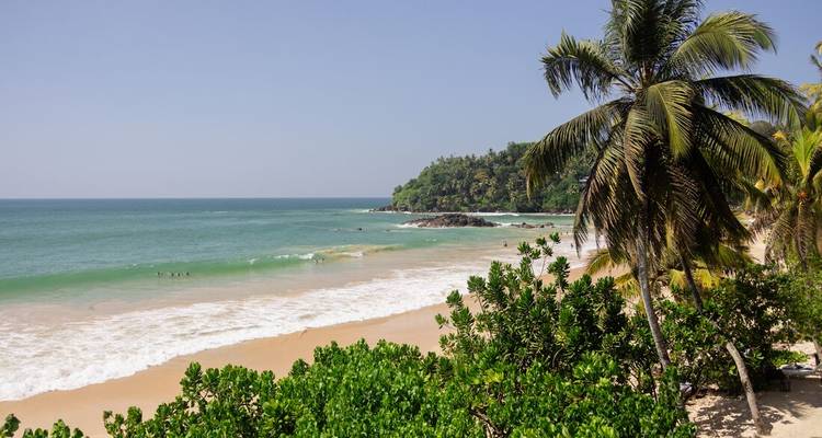 Scène de plage tropicale avec des palmiers et une eau claire.