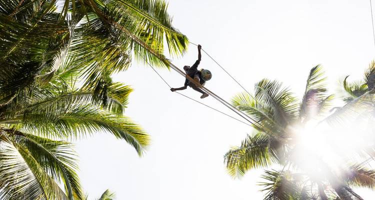 Homme grimpant aux palmiers avec des cordes en action.