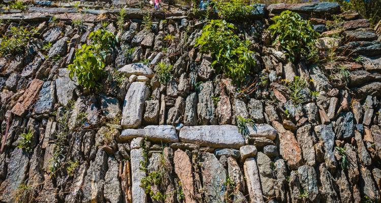 Estructura de piedra con plantas verdes creciendo entre las rocas.