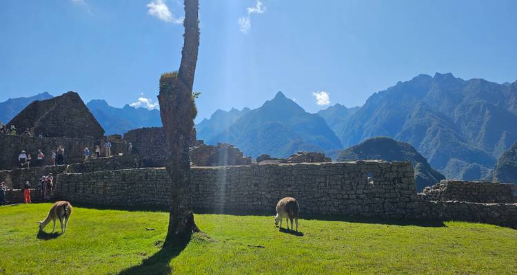 Ruines de pierre avec zone herbeuse et montagnes au loin.