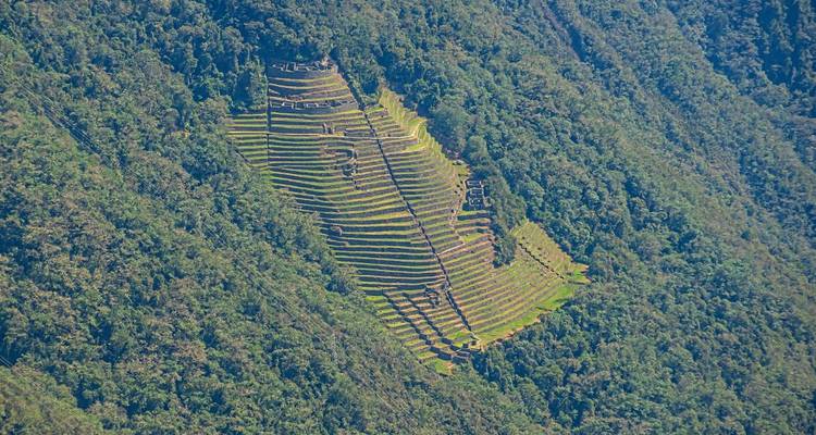 Terrassenlandschaften mit dichtem Wald in der Umgebung.