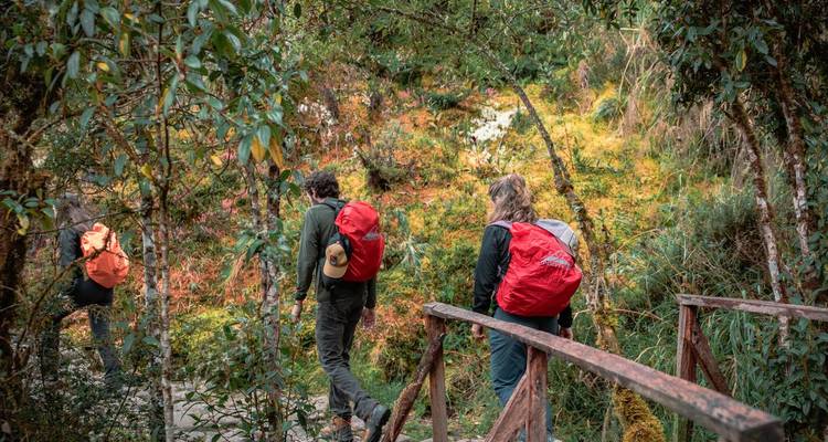 Pequeño grupo de excursionistas con mochilas rojas cruzando un puente de madera a través del exuberante bosque nublado andino