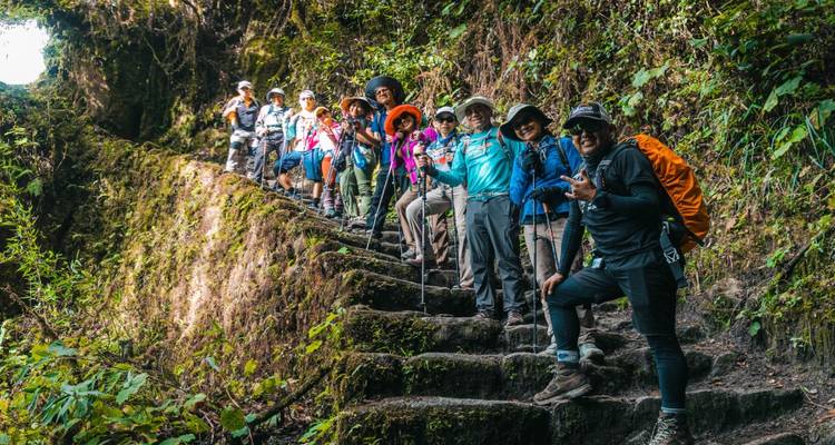 Grupo de excursionistas en una escalinata de piedra cubierta de musgo en un entorno exuberante.