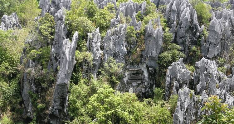 Sharp limestone formations with vegetation.