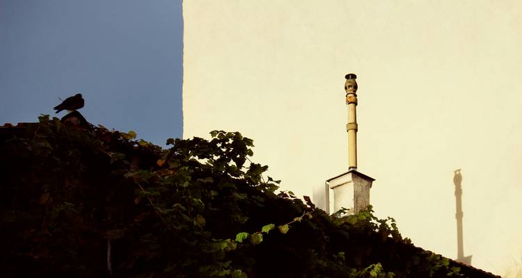 Toit avec végétation et cheminée contre un mur.