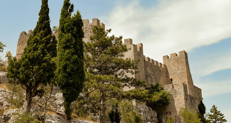 Ancienne forteresse de pierre avec des arbres.