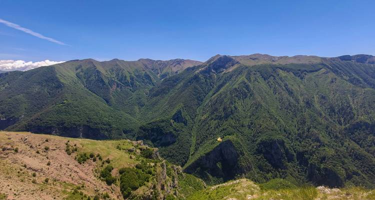 Vue panoramique de montagnes vertes sous un ciel bleu.