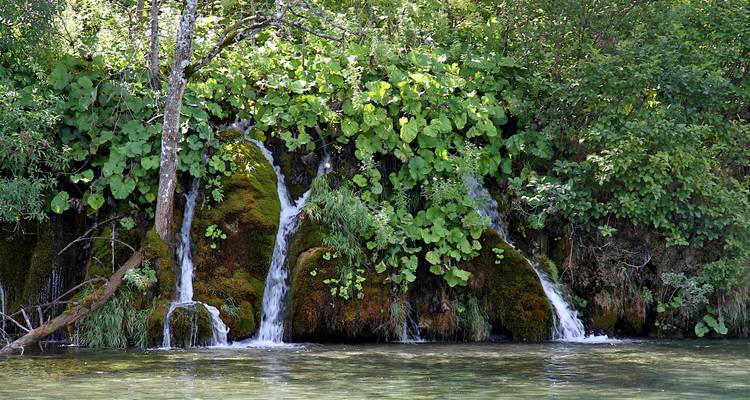 Cascades entourées de verdure luxuriante.