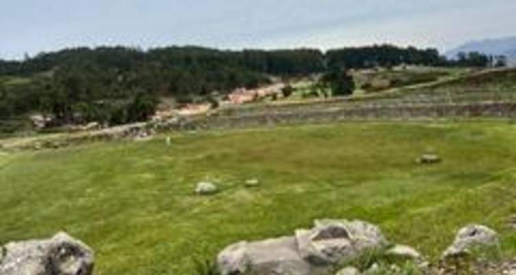 Champ ouvert avec des pierres éparses et un couvert d'arbres au loin.