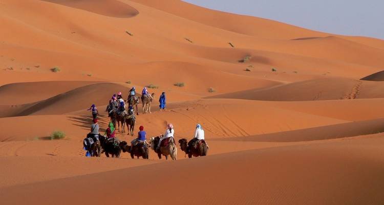 Groupe de chameaux avec des cavaliers traversant de vastes dunes de sable dans le désert.