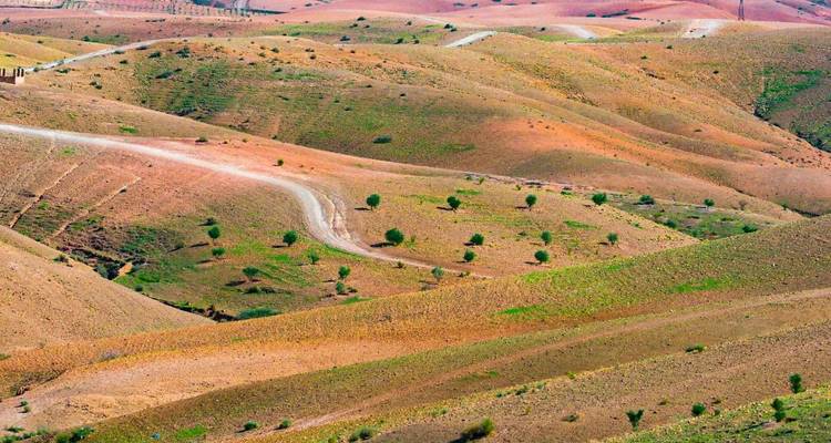 Des collines ondulantes avec une route pittoresque qui serpente à travers elles.