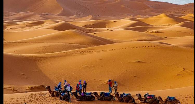 Grupo de camellos y personas atravesando dunas de arena.