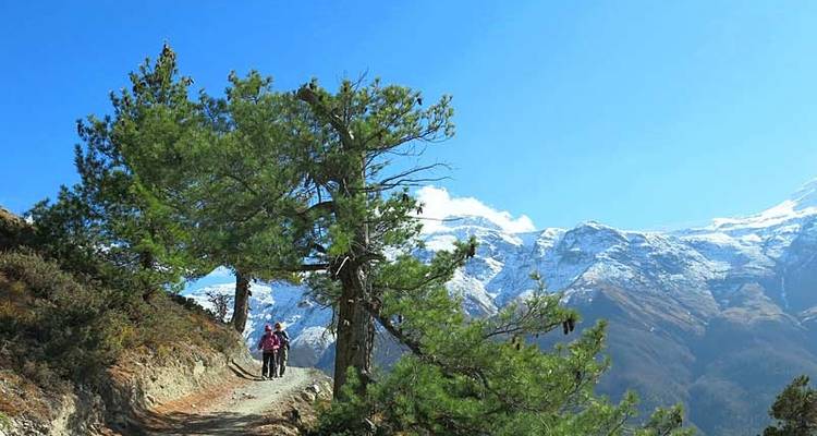 De l'Annapurna à Chitwan : Promenades et faune - Exodus Adventure Travels 1