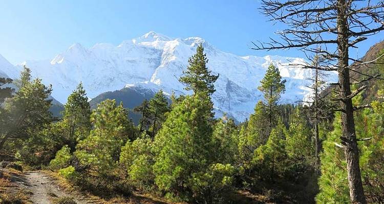 De l'Annapurna à Chitwan : Promenades et faune - Exodus Adventure Travels 9