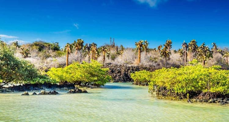 Galápagos: Tras las huellas de Darwin - Exodus Adventure Travels 1