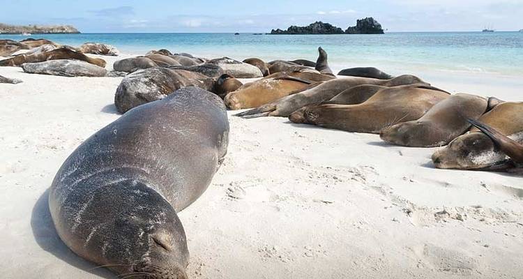 Galápagos: Tras las huellas de Darwin - Exodus Adventure Travels 4