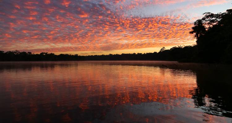 Ein ruhiger Dschungelsee, der einen dramatischen orange-rosa Himmel bei Sonnenuntergang widerspiegelt, mit Waldufern in Silhouette.