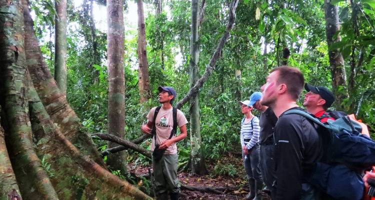 Grupo de turistas en una densa selva con un guía dando explicaciones.