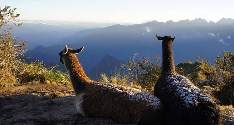 Le Chemin de l'Inca - Exodus Adventure Travels 3