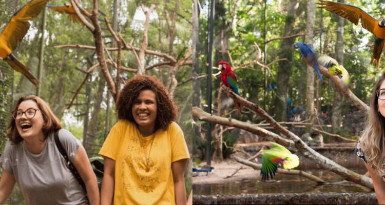Dos mujeres sonriendo con loros en un exuberante ambiente de bosque.