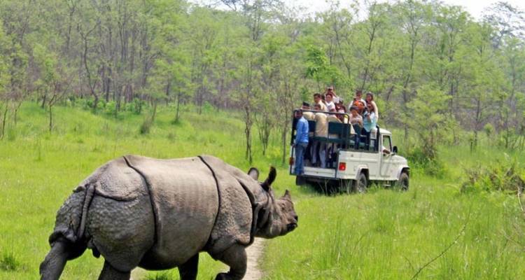 Jeep de safari avec des touristes observant un rhinocéros dans la nature.
