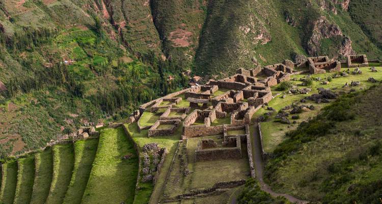 Ruinas escalonadas en una ladera con vegetación densa.
