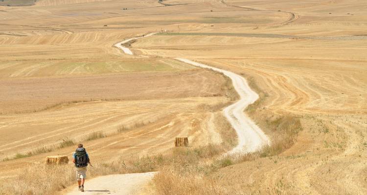 Caminante solitario por un sendero largo, sinuoso y polvoriento a través de un paisaje seco.