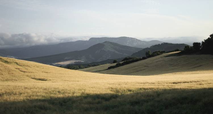 Colinas onduladas con montañas en la distancia.