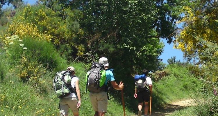 Camino de Santiago Trek - Exodus Adventure Travels 6