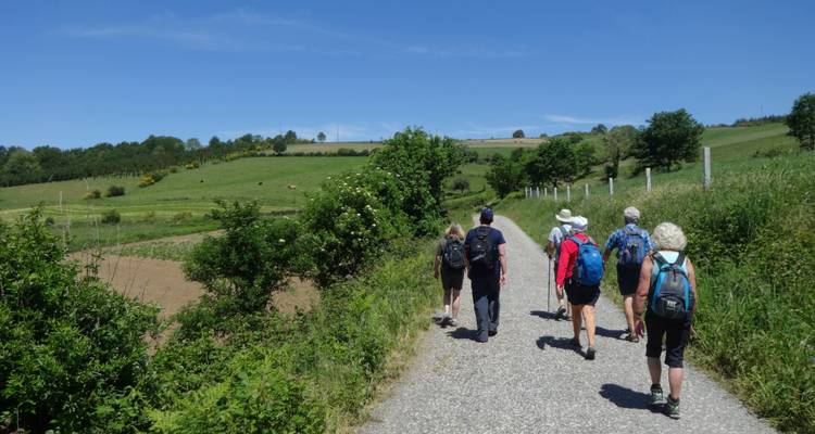 Grupo de personas caminando por un sendero rodeado de campos y árboles.