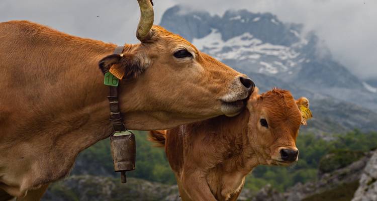 Trek dans les Picos de Europa - Exodus Adventure Travels 3
