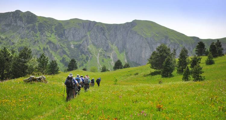 Wanderer, die durch eine üppig grüne Wiese mit Bergen wandern.