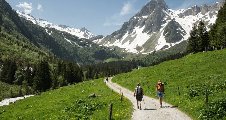 Randonneurs montant à travers une vallée verdoyante.