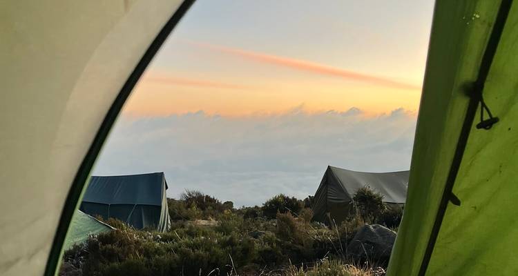 Tentwand geeft uitzicht op een pastelkleurige zonsopgang boven verre kampstenten op de hellingen van de Kilimanjaro.