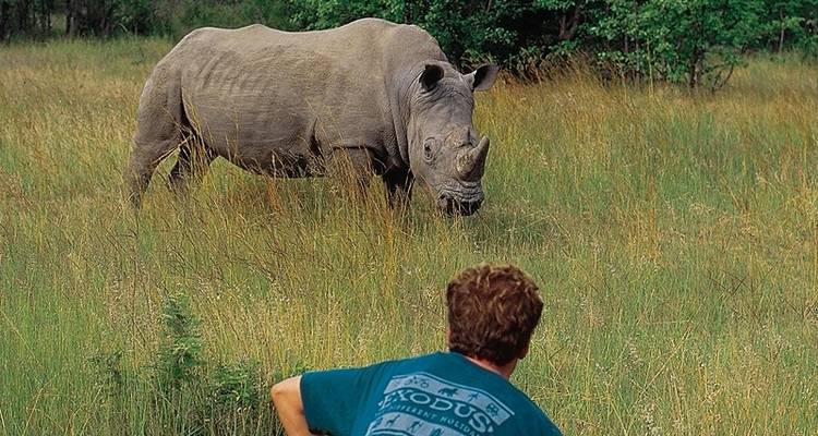 Afrique du Sud : Randonnée et faune - Exodus Adventure Travels 10