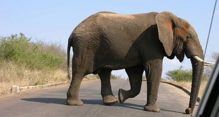 Afrique du Sud : Randonnée et faune - Exodus Adventure Travels 7