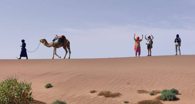 Guide menant un chameau chargé à travers une crête de haut désert tandis que les randonneurs célèbrent sur la crête.