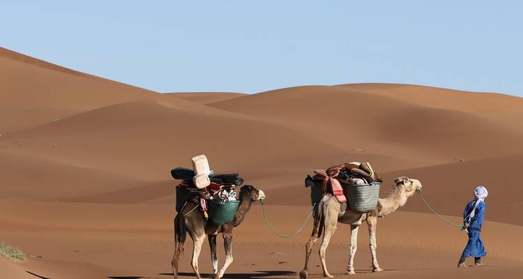 Guide en robe bleue menant deux chameaux chargés de paniers à travers les dunes couleur rouille du Sahara.