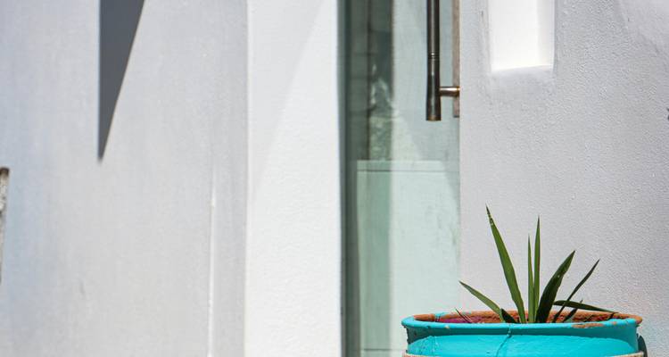 Eine einfache weiße Wand mit einem blauen Blumentopf.