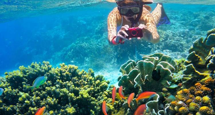Plongeur en apnée prenant des photos sous l'eau de coraux colorés et de poissons.
