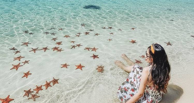 Personne profitant d'une plage avec une eau claire et des étoiles de mer.