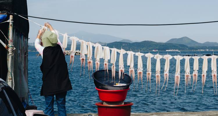 Vendedor local cuelga hileras de calamares para secar en cuerdas junto al mar con colinas onduladas al fondo
