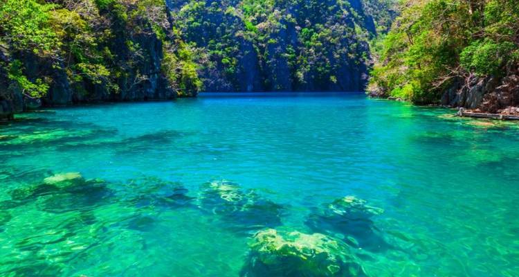 Lagon vert émeraude avec une végétation luxuriante.